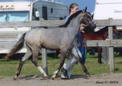 Mandy's first show, July 2004